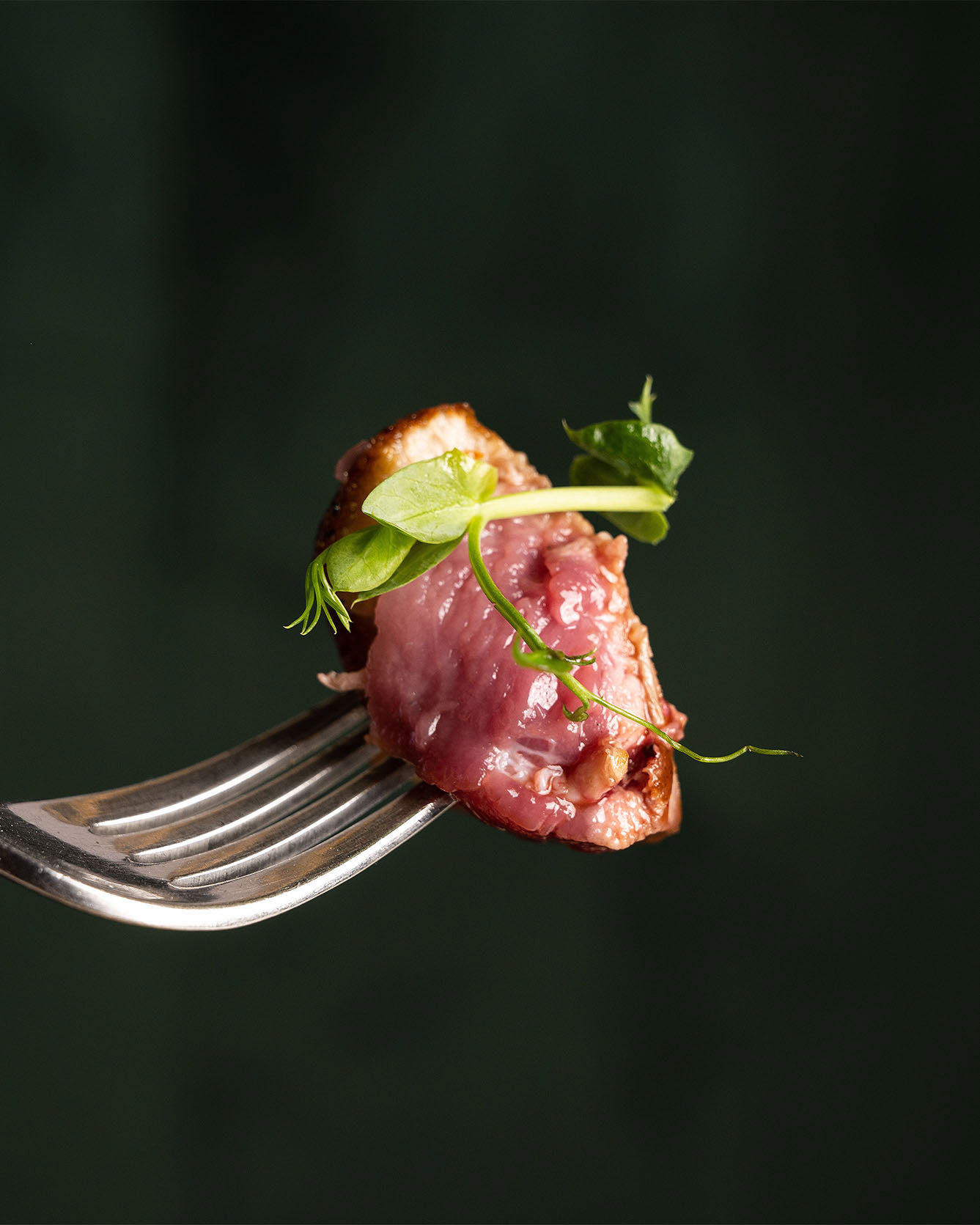 Composizione gastronomica fotografata da Giovanni Cordiale